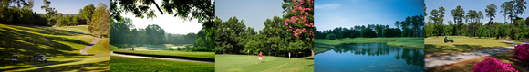 golf courses