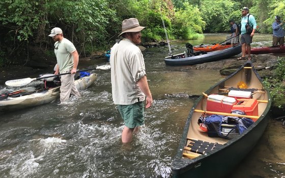 Paddle-powered bass study