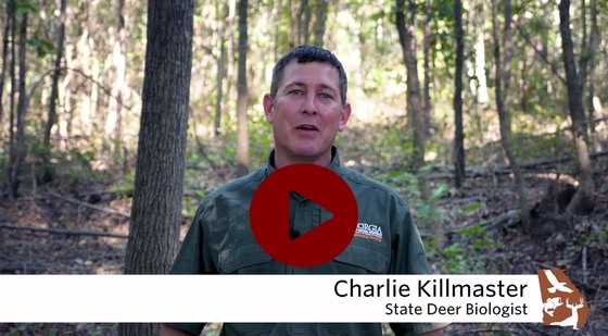 State deer biologist Charlie Killmaster