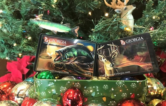 Licenses under the tree