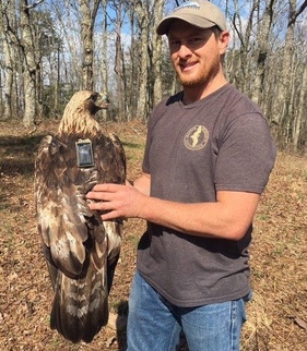  Mike Lanzone with golden eagle (Special to DNR)