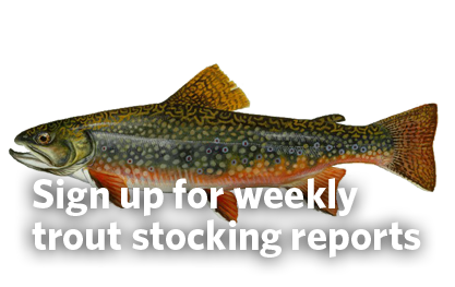Nc Trout Stocking Schedule 2022 Trout Fishing | Department Of Natural Resources Division