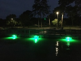 Night Fishing at Georgia Public Fishing Areas Begins May 1