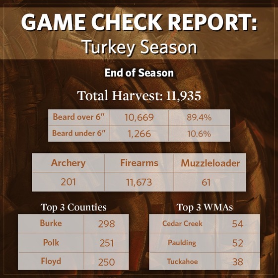 Turkey season harvest