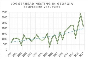 Loggerhead nesting graph