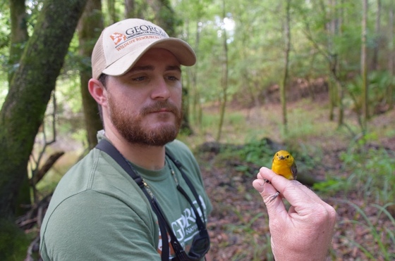DNR's Zach Henshaw with a prothonotary warbler (Joe Burnam/DNR)