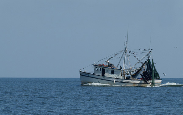 Shrimp Boat Shrimp Boat