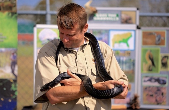 DNR's Matt Moore with an eastern indigo snake at the 2018 Claxton festival (Paul Evans)