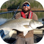 Striped Bass