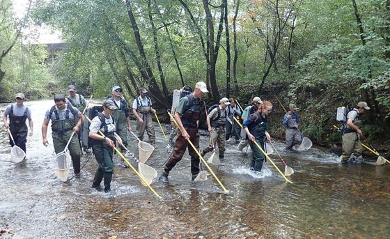 Volunteering with WRD's Stream Team