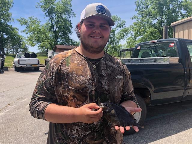 state record sunfish