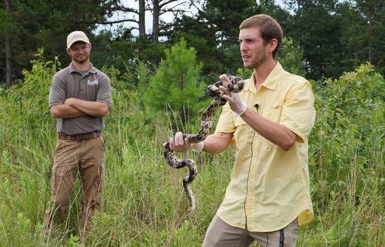 Bryan Hudson, right, and DNR's Trent Blalock with the pine snake released at Lake Russell WMA (Rick Lavender/DNR)