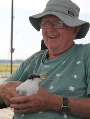 Volunteer Gene Keferl holds a tern for banding (Susan Inman/Altamaha Riverkeeper)