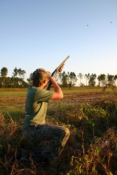 dove hunt