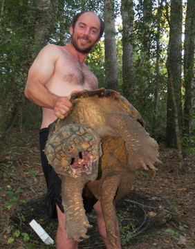 Herpetologist with 100-pound-plus Suwanee alligator snapping turtle (Dirk J. Stevenson)