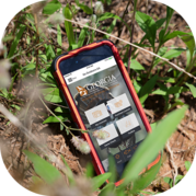 Go Outdoors GA app open on phone