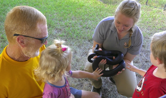 Learning about eastern indigo snakes at CoastFest (Linda May/DNR)