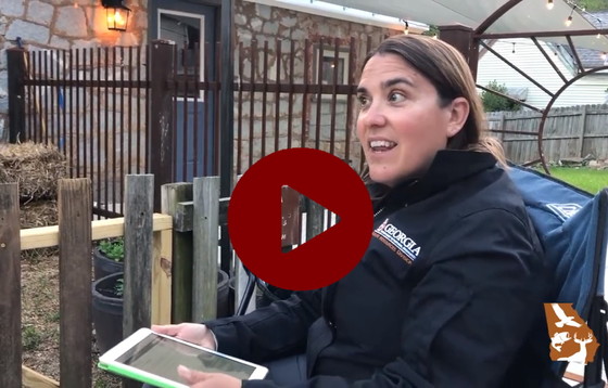 Video: DNR's Trina Morris explains bat roost monitoring