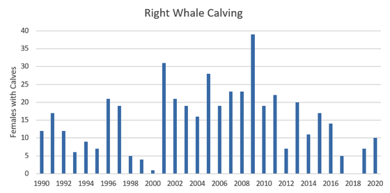 Chart of right whale calving in Southeast