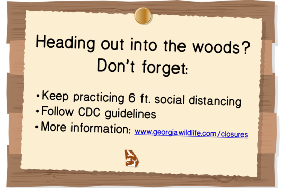 Responsible Recreation graphic