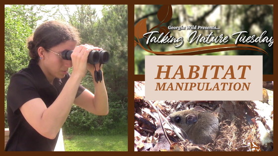 Talking Nature Tuesday series