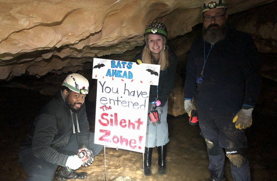 DNR staff and volunteers during a cave survey for white-nose syndrome (DNR)