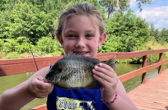 Girl with bluegill at Arrowhead WMA (DNR)