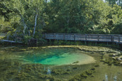 Magnolia Springs State Park