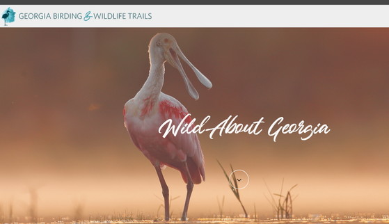 New Georgia birding and wildlife trails website