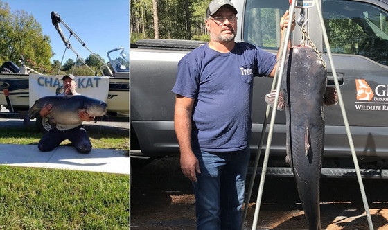 Tim Trone with his state-record blue catfish (special to DNR)