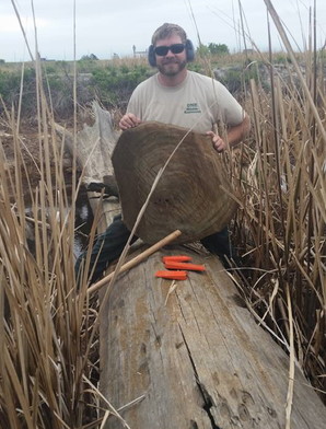 WRD's Robert Horan with a cypress "cookie"