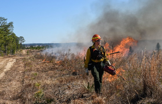 Enhancing conservation on private lands, including through fire, is a key challenge facing WRD. (Hall Massie/DNR)