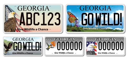 DNR license plate collage