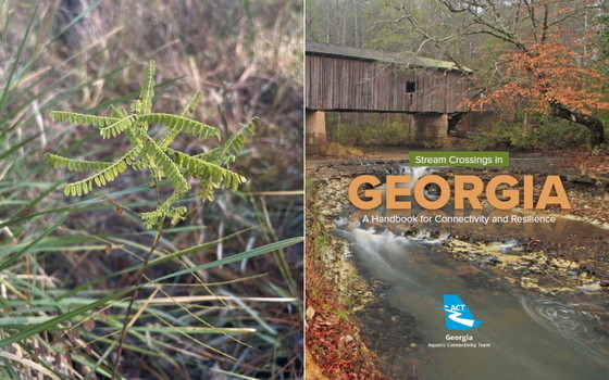 Georgia lead-plant (left) and the new Stream Crossings in Georgia handbook