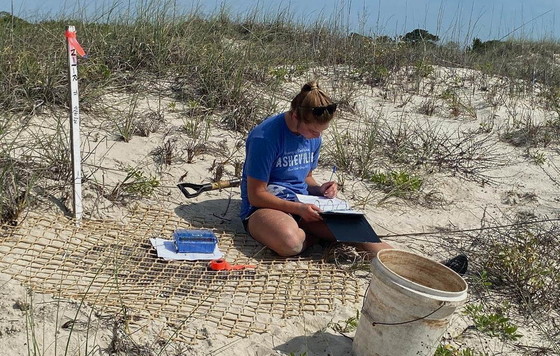 DNR sea turtle tech Isabel Johnson relocates a Sapelo Island nest (Mark Dodd/DNR)