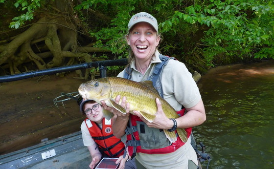 DNR biologist Paula Marcinek with an Ocmulgee River robust redhorse (Peter Dimmick/DNR)
