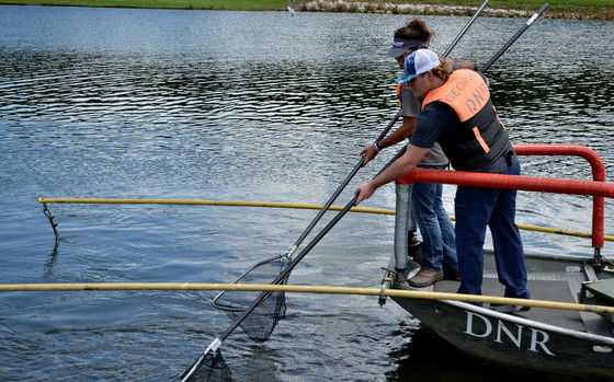 DNR Academy teens try their hand at fish sampling (DNR)