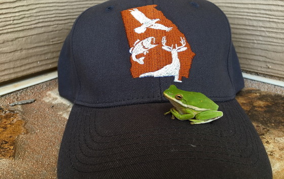 Annual reader survey includes a drawing for DNR caps (minus the green treefrog)