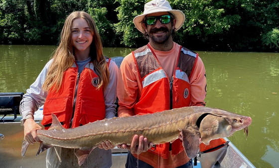 UGA graduate students with a whopper lake sturgeon on the Coosa (Special to DNR)