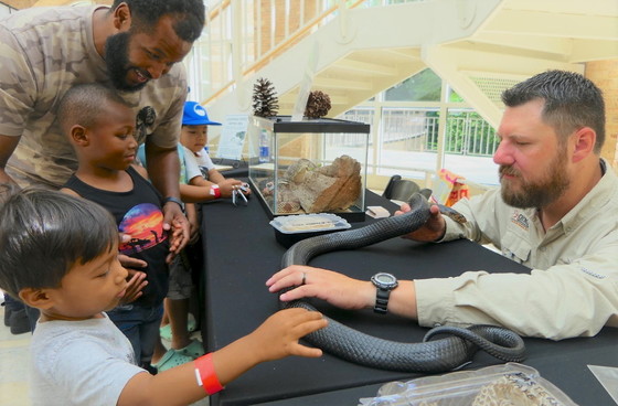 DNR wildlife biologist Daniel Sollenberger shows an indigo snake to Fernbank Reptile Day visitors (Linda May/DNR)