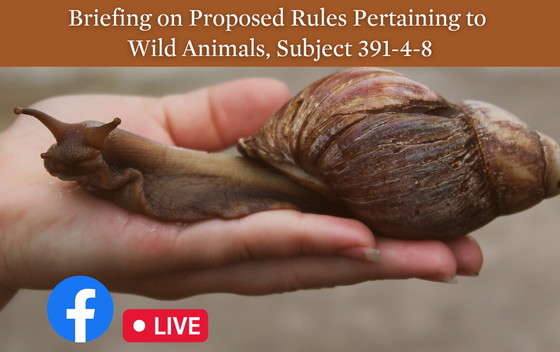 Facebook Live session on proposed wild animal list changes