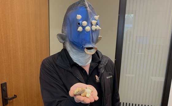 DNR's Brett Albanese models his blue chub mask and props