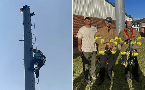 Eagle on pole; DNR and Macclenny (Fla.) Fire and Rescue staff