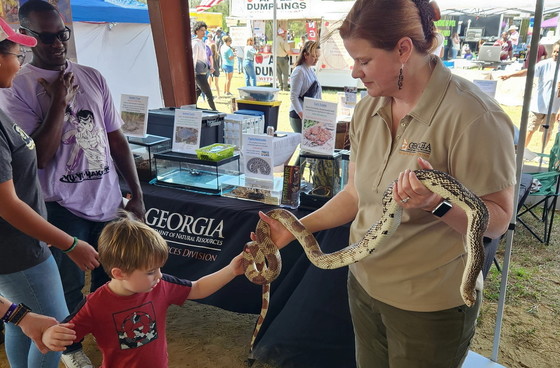 DNR's Linda May shows Whigham Rattlesnake Roundup visitors a pine snake. (Daniel Sollenberger/DNR)