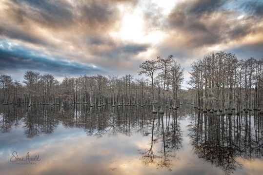 George L. Smith State Park by @mrstevearnold
