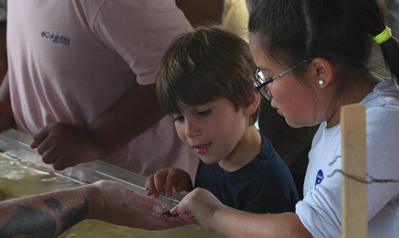 Children enjoy a close look at wildlife at CoastFest (DNR)