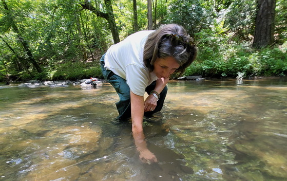 Ruth Stokes of the U.S. Forest Service releases a Coosa moccasinshell in Armuchee Creek (Katie Owens/TNC)