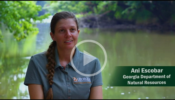 Conserving Coosa Mussels video