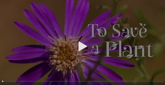 Georgia Outdoors episode "To Save a Plant"