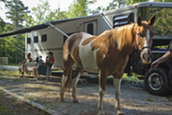 Horse camping at A.H. Stephens